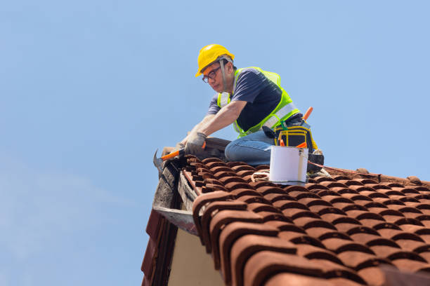 Best Asphalt Shingle Roofing  in USA